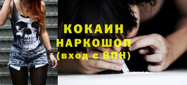 шишки Пересвет