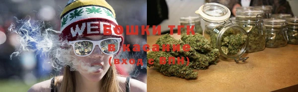 индика Пестово