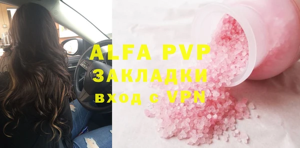 индика Пестово
