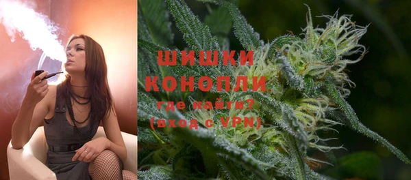 шишки Пересвет