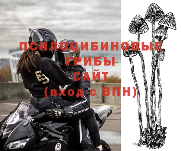 крисы Армянск