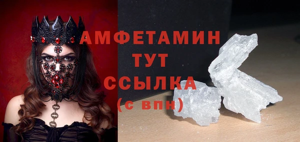 шишки Пересвет