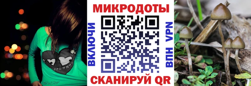 закладка  Себеж  Галлюциногенные грибы ЛСД 